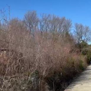 Varre pa kryq të shtetit shqiptar  Ilir Demalia plas  bombën   ja vendi ku u rrëmbyen  u torturuan dhe u zhdukën 